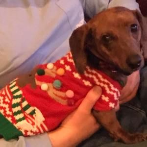 Meet your Posher, Gwyn